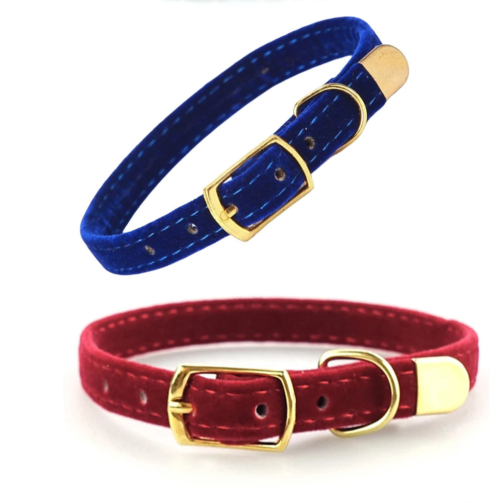 The Everyday Little Furrkin Cat Collar