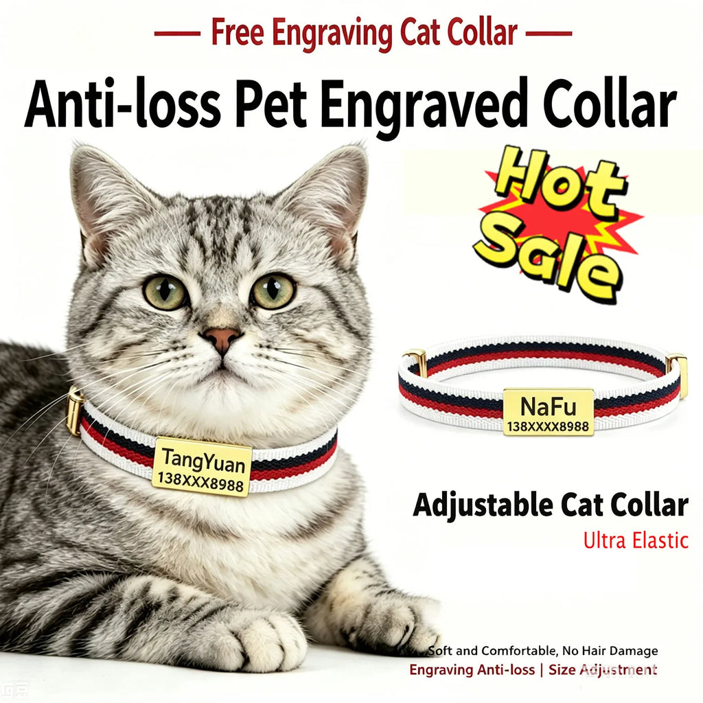 The Named Little Furrkin Cat Collar