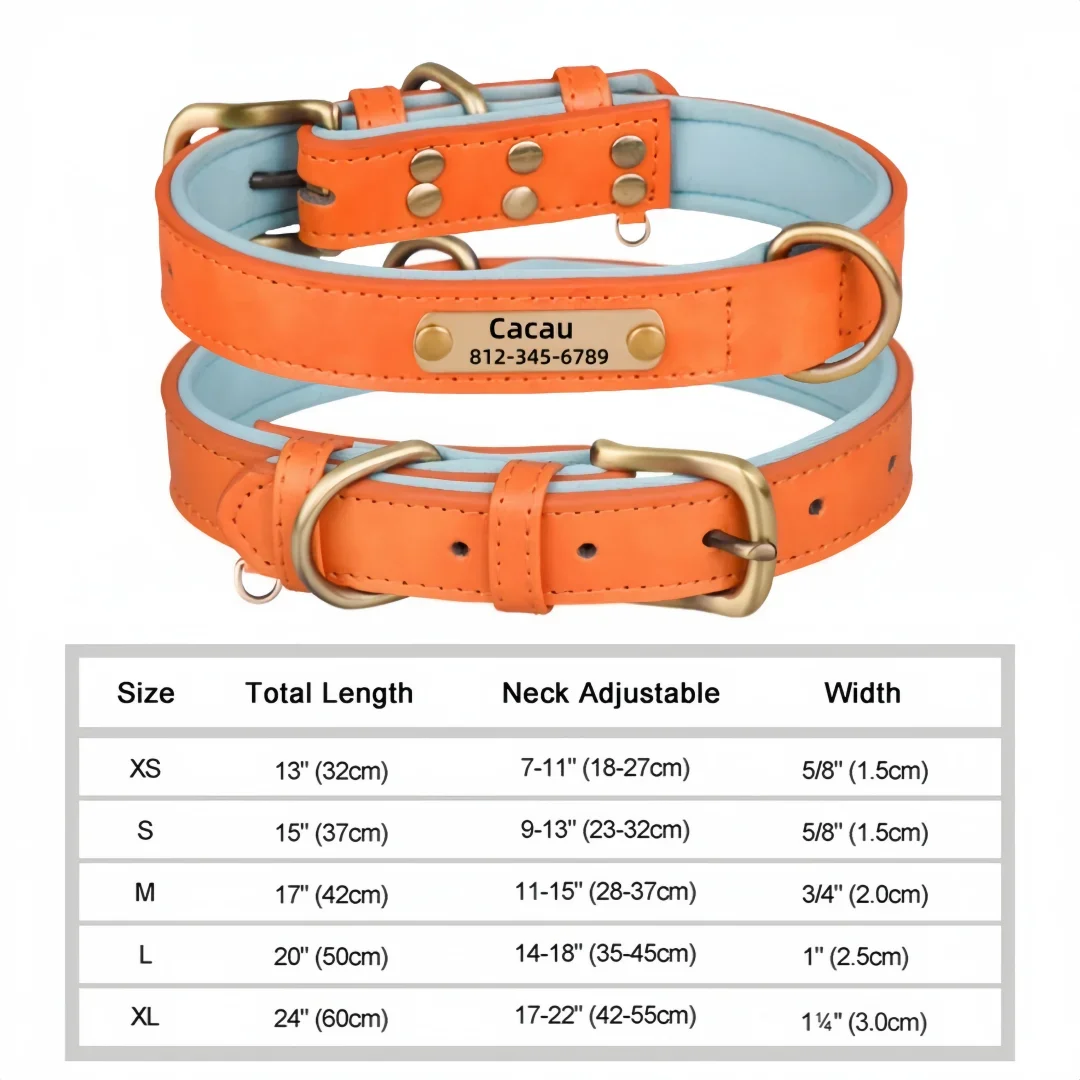 The Named & Padded Furrkin Collar