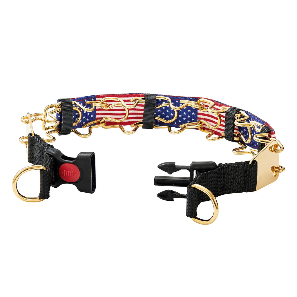 The Furrkin Stainless Steel Prong Collar