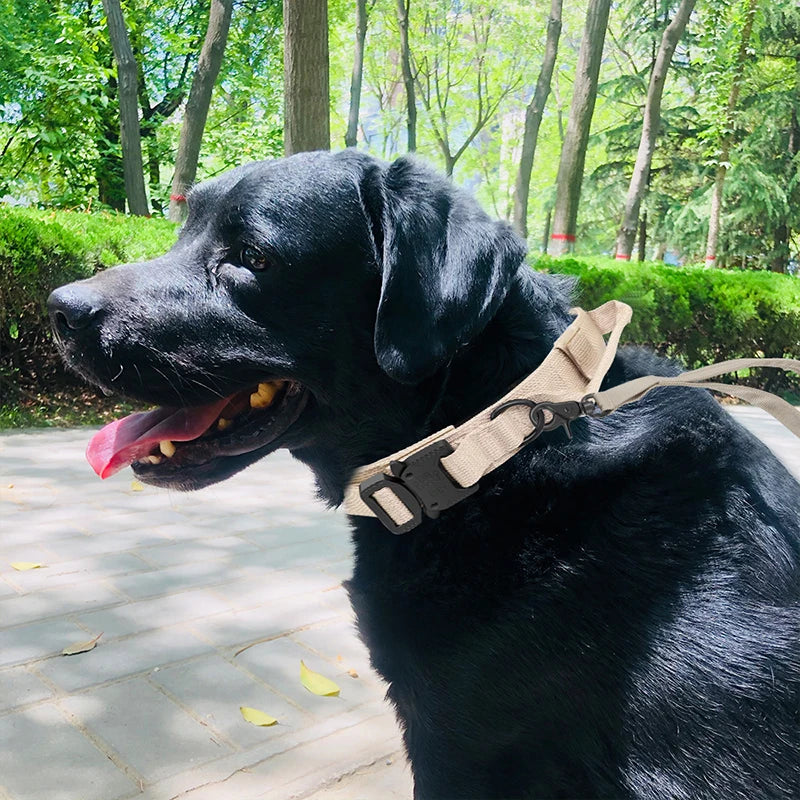 The Adventure Ready Furrkin Collar & Leash