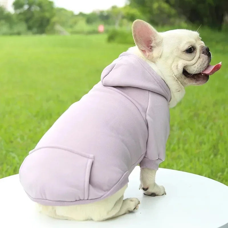 The Couch Club Hoodie