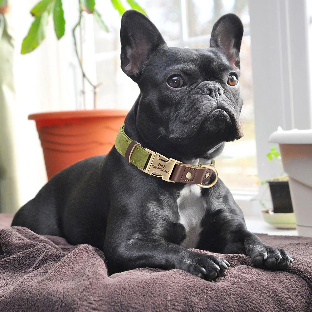 The Everyday Furrkin Collar