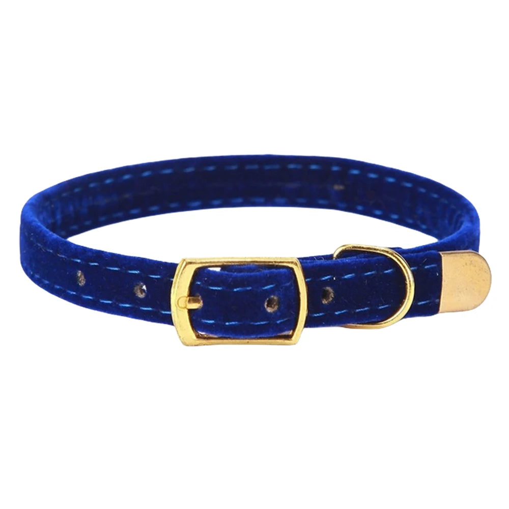 The Everyday Little Furrkin Cat Collar