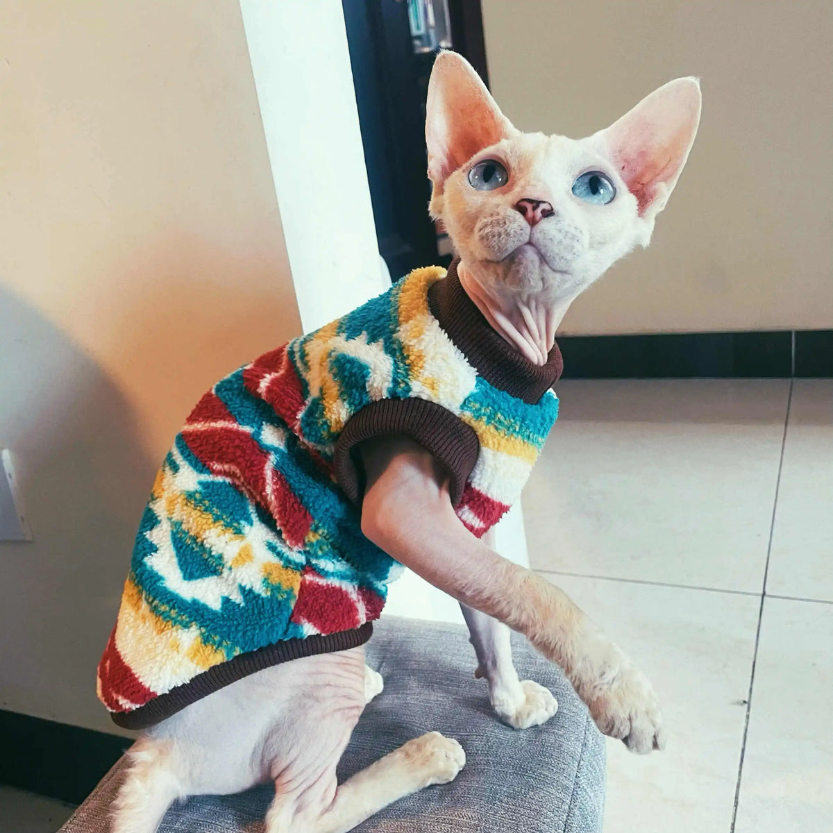 The Cozy Little Menace