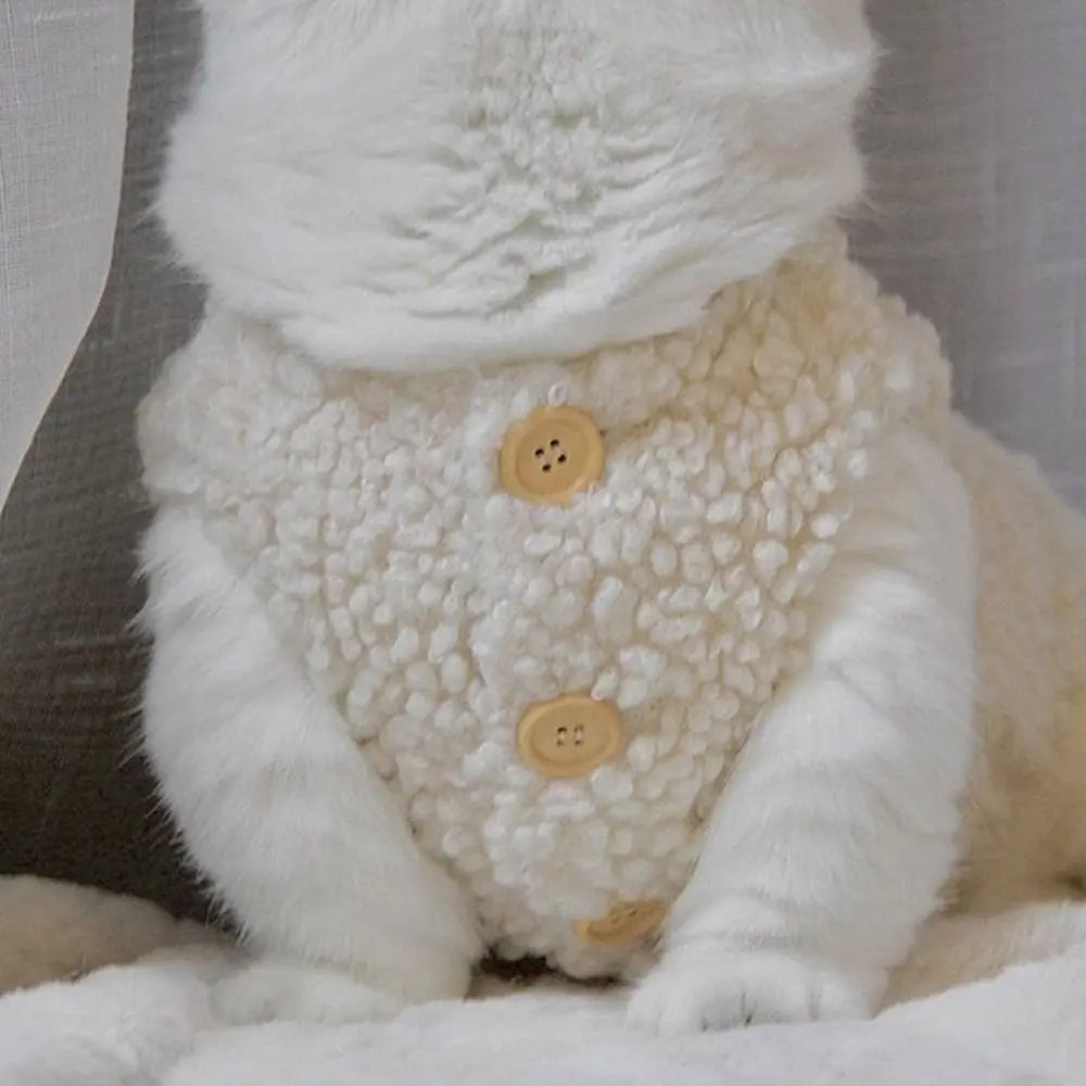 White cat wearing a textured beige sweater with buttons on a neutral background