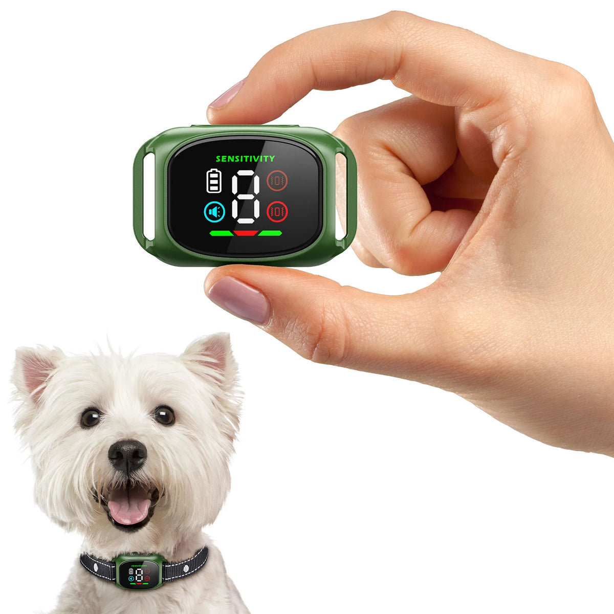 The Furrkin Training Companion Collar