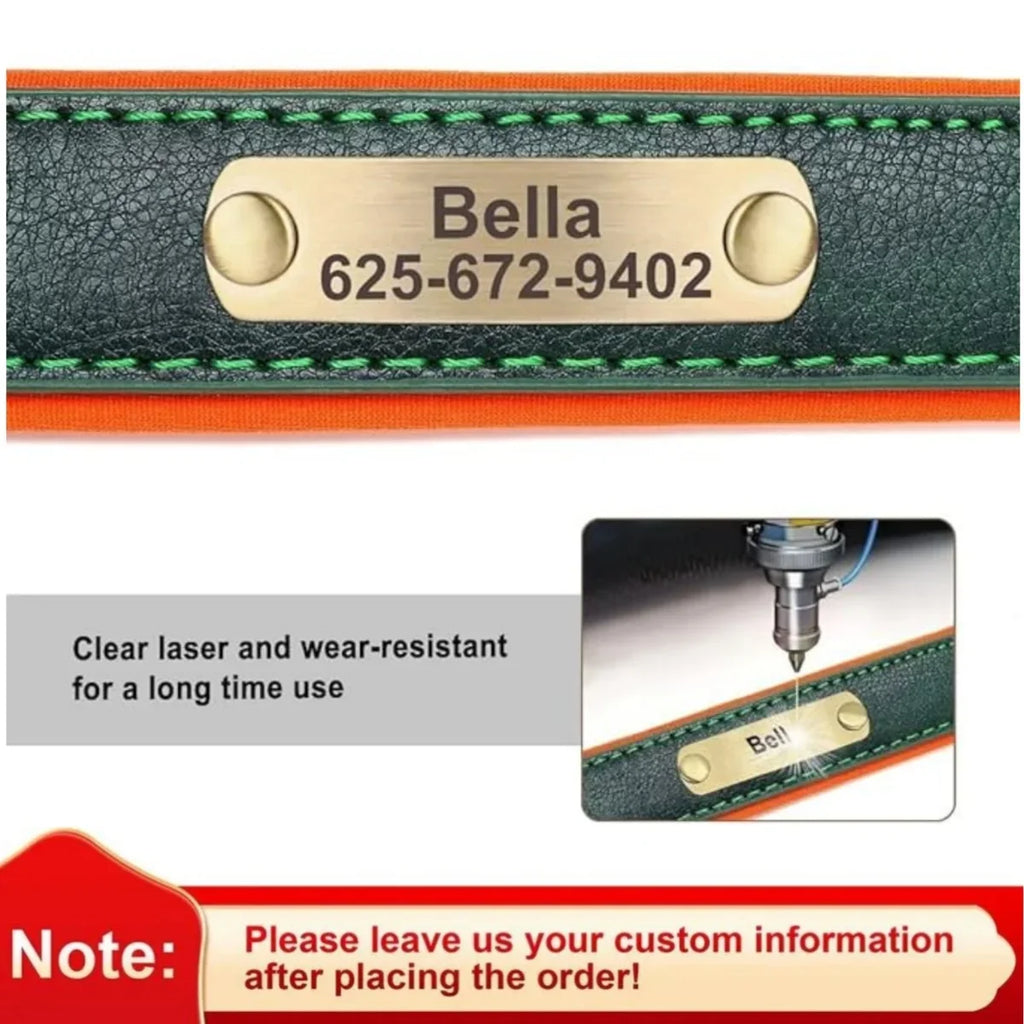 The Named & Padded Furrkin Collar