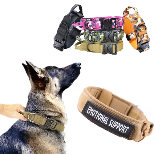 The Adventure Ready Furrkin Collar & Leash