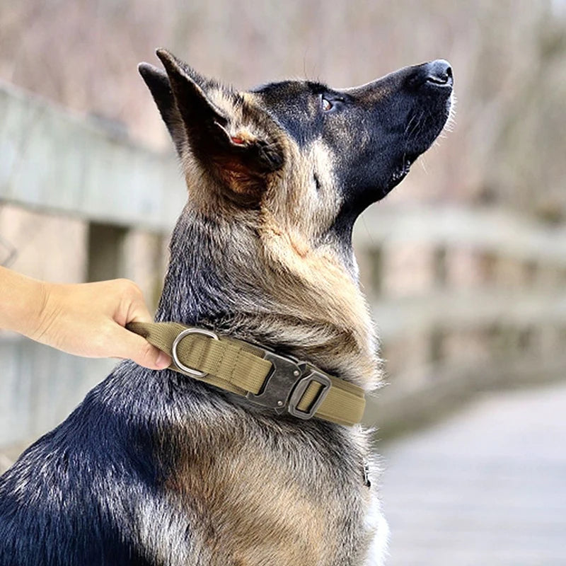 The Adventure Ready Furrkin Collar & Leash