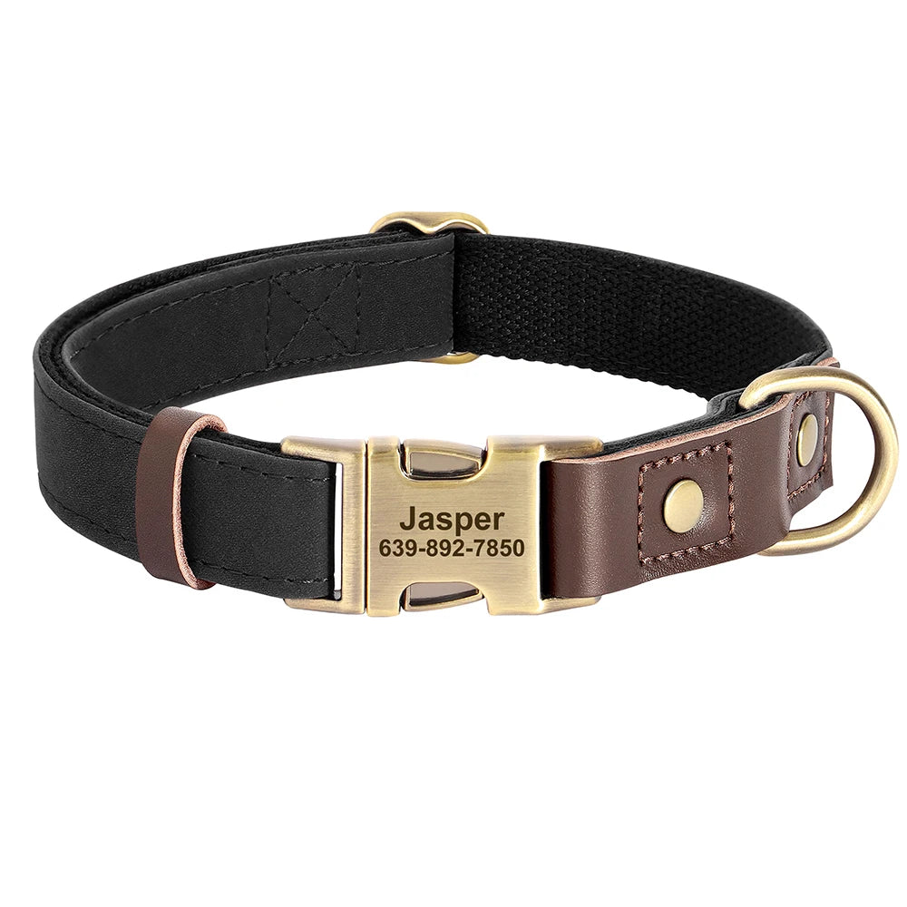 The Everyday Furrkin Collar