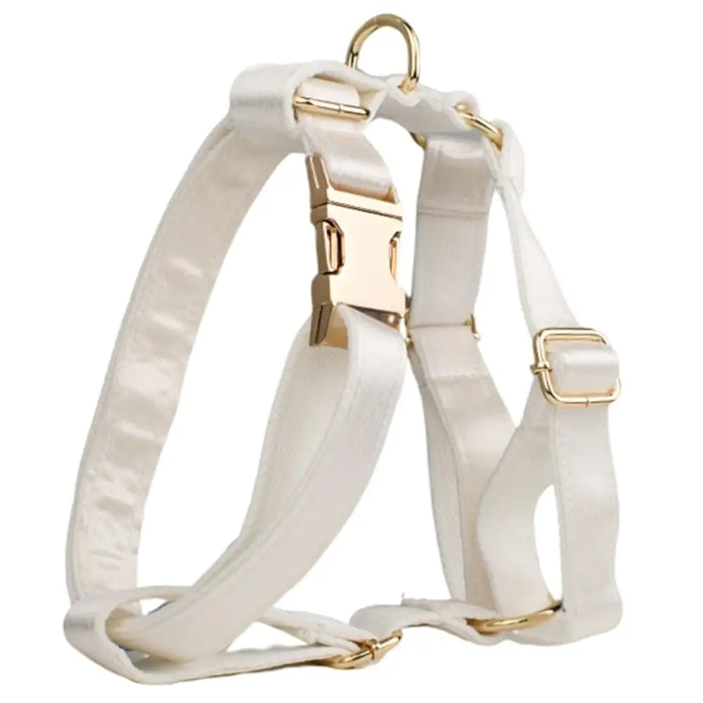 The Signature Furrkin Collar