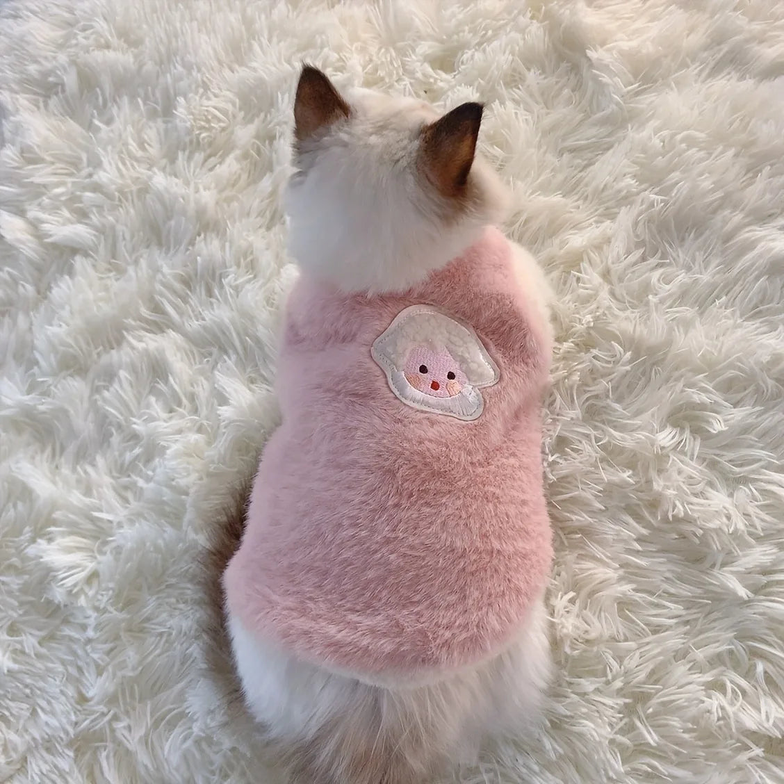 The Warm Little Lamb